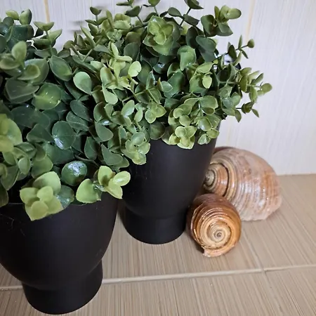 Διαμέρισμα Cozy City Center Apartment Σέρρες